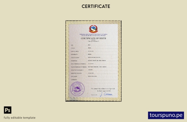 listo para imprimir plantilla PSD de certificado de nacimiento de registro vi 27